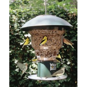 bird feeders squirrel proof